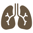 ENT & Respiratory