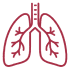 X-ray img 4